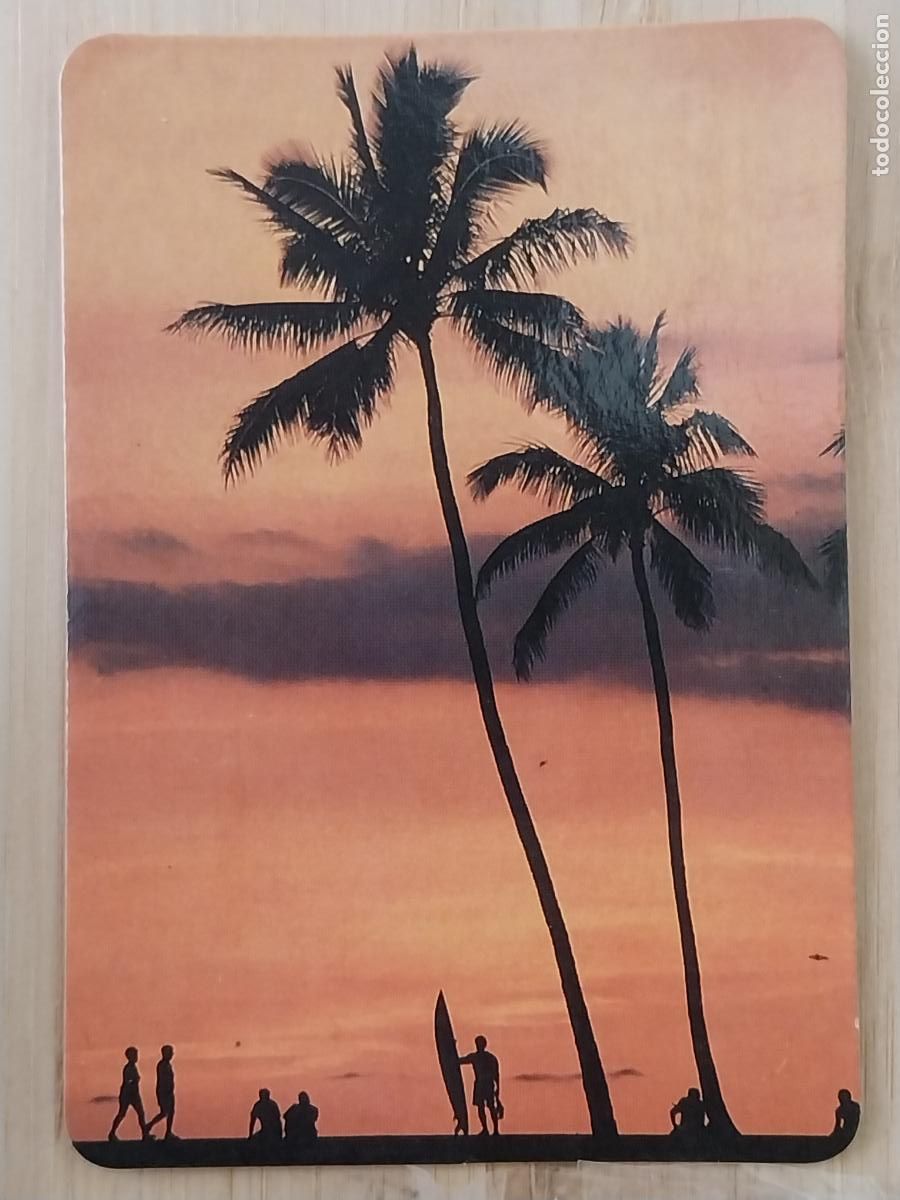 Colecionismo Calend&aacute;rios: PALMERAS PAISAJE CALENDARIO 1990 PUBLI *** RESTAURANTE BO&Ntilde;AR LEON *** REF ANRO