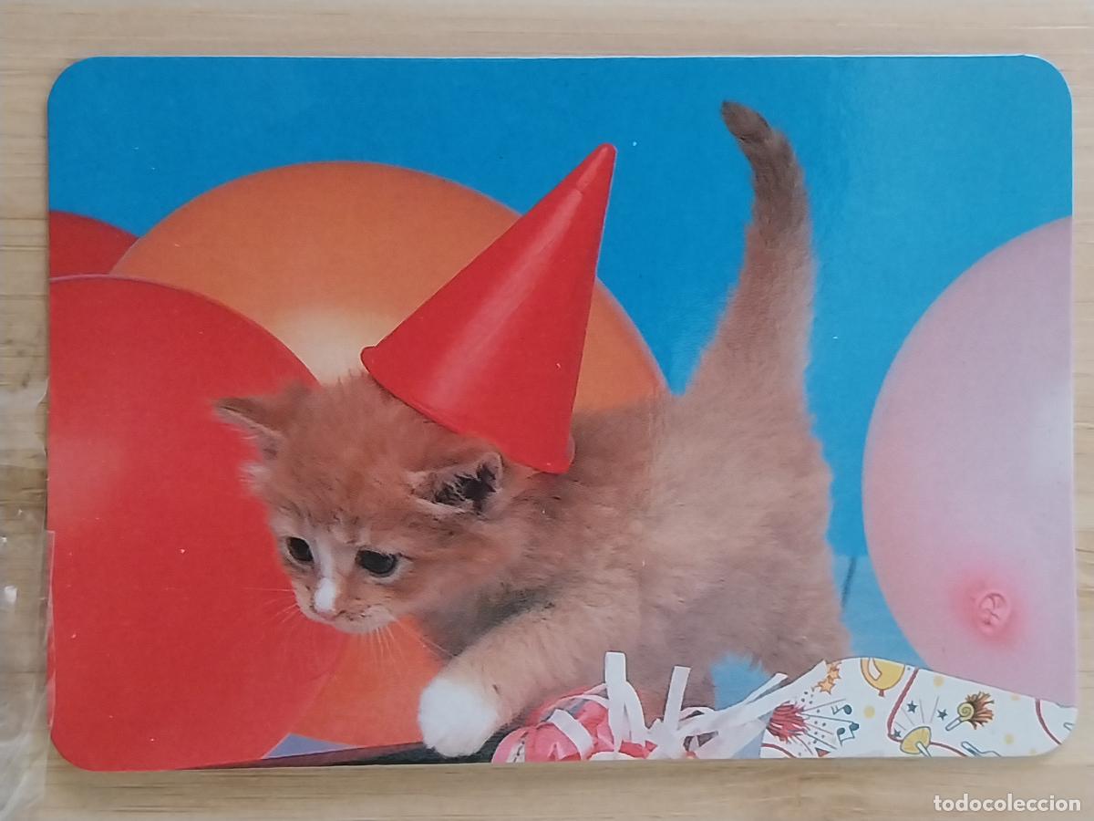 Colecionismo Calend&aacute;rios: GATITO CACHORRO RUBIO CALENDARIO 1999 PUBLI *** PAJARERIA OROPENDOLA *** REF RR 41 ***