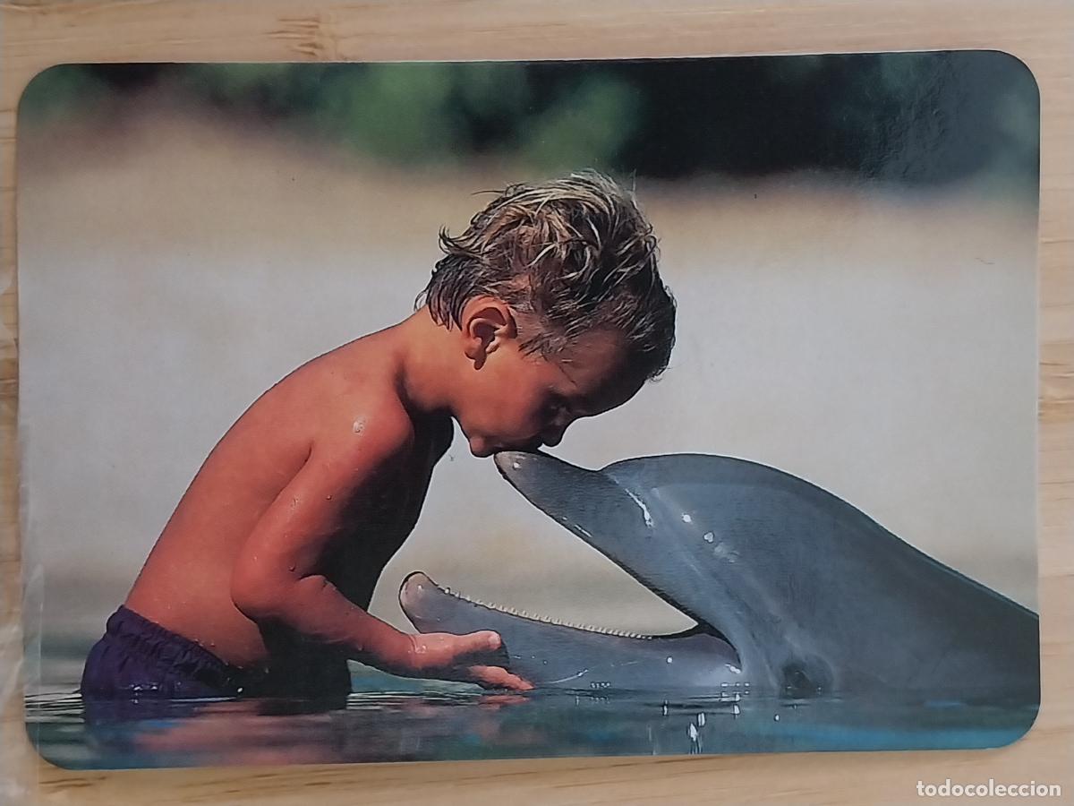 Colecionismo Calend&aacute;rios: DELFIN NI&Ntilde;O CALENDARIO 1999 PUBLI *** PAJARERIA OROPENDOLA *** REF RR 32 ***