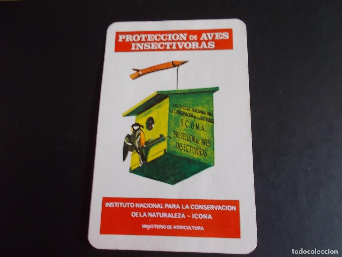 Collectables Calendars: ICONA PROTECCION DE AVES INSECTIVORAS 1976 FOURNIER