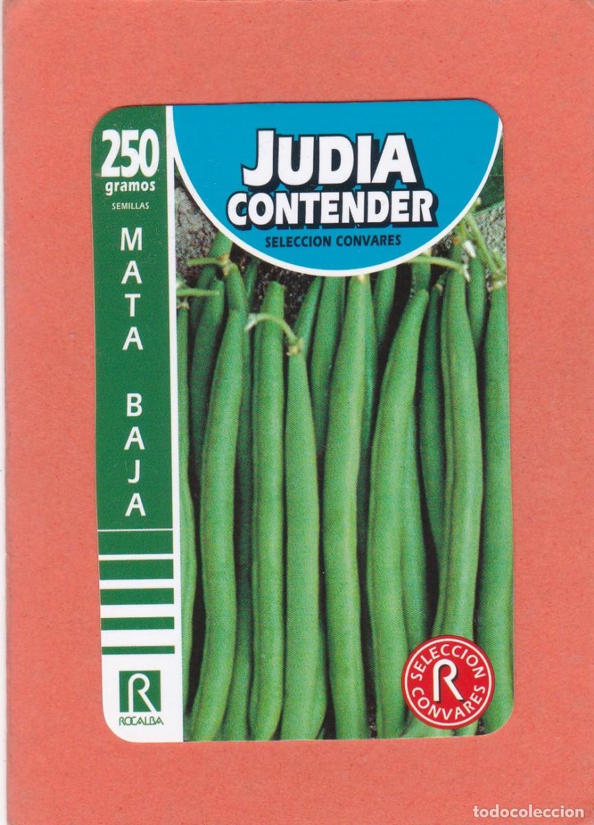 Coleccionismo Calendarios: CALENDARIO 2012 - ROCALBA - JUDIA CONTENDER