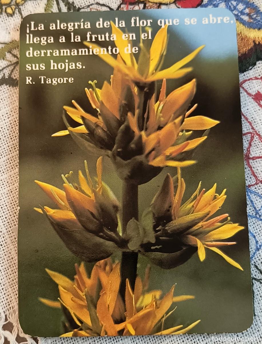 Coleccionismo Calendarios: CALENDARIO DE BOLSILLO | FLOR AMARILLA - A&Ntilde;O 1990