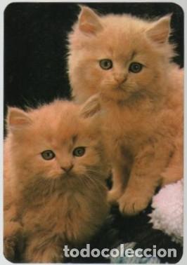 Coleccionismo Calendarios: CALENDARIO GATITOS A&Ntilde;O 1988 CAL-11142
