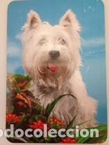 Coleccionismo calendarios: Calendario 2003 Serie L 114 Perros