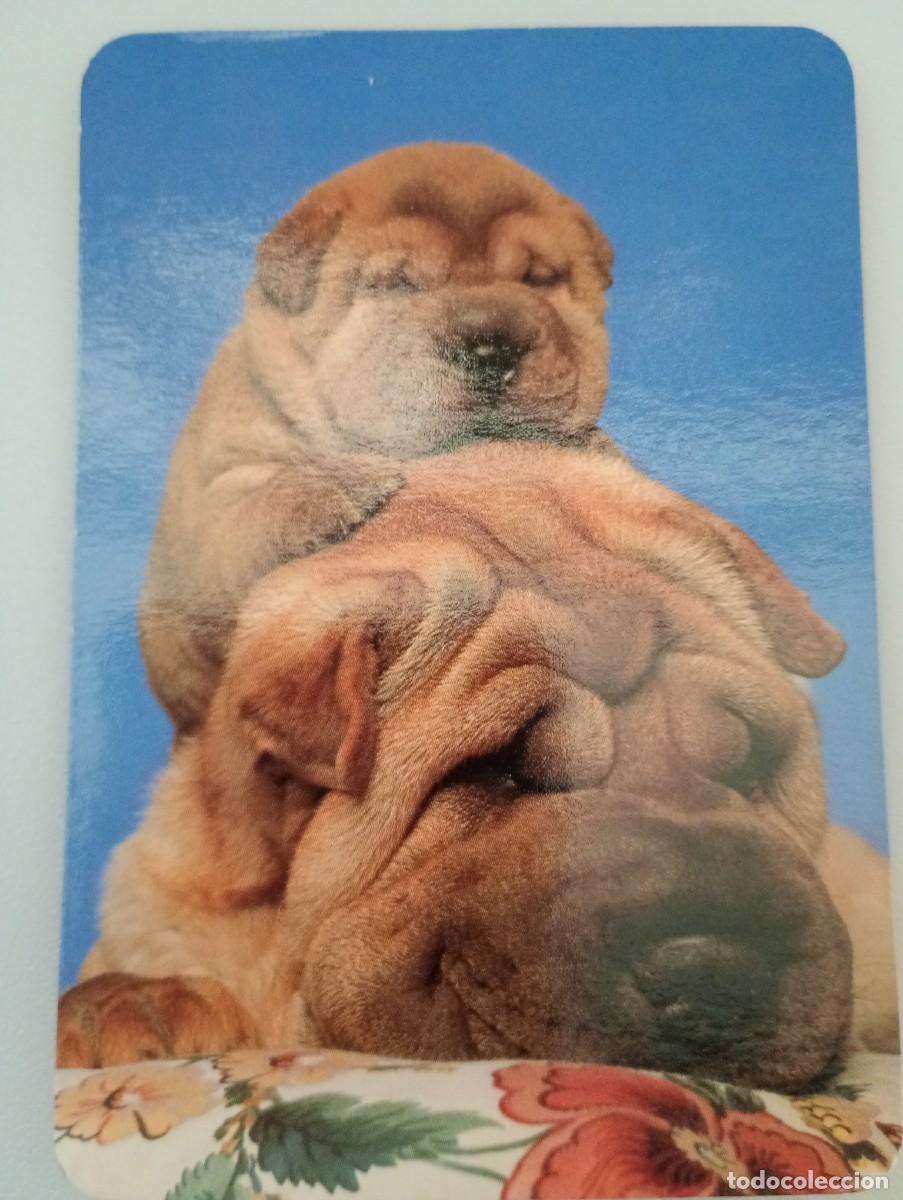 Collectionnisme Calendriers: Calendario 2003 Serie EGC 57 Perros