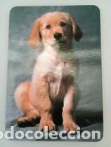 Colecionismo Calend&aacute;rios: Calendario 2003 Serie RR 32 57 Perros