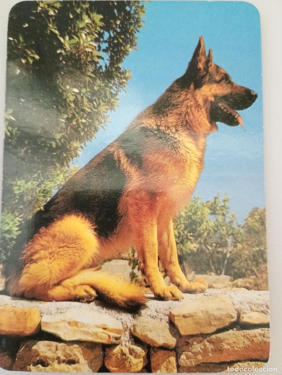 Colecionismo Calend&aacute;rios: Calendario 2002 Serie BO 573 Perros