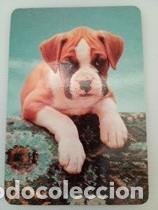 Coleccionismo calendarios: Calendario 1998 Serie L 144 Perros