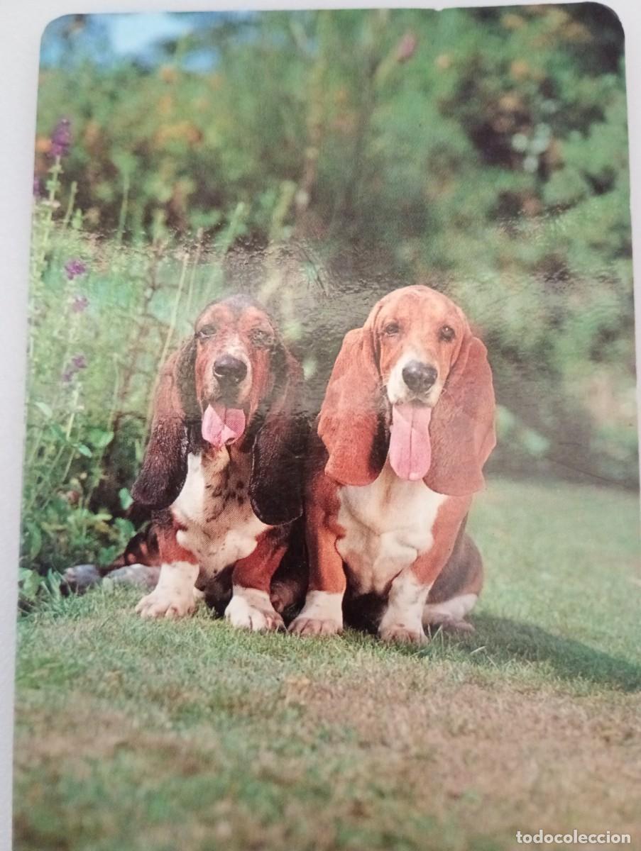 Coleccionismo calendarios: Calendario 1992 Serie MP 4 Perros