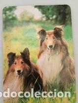 Coleccionismo calendarios: Calendario 1992 Serie DLB 24891 Perros