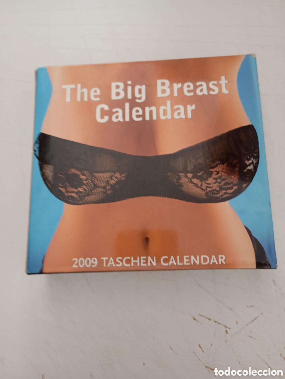 Coleccionismo calendarios: THE BIG BREAST CALENDAR - 2009 TASCHEN CALENDAR