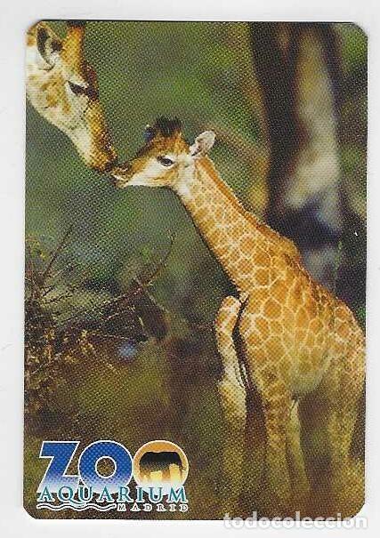 Coleccionismo calendarios: CALENDARIO BOLSILLO A&Ntilde;O 2007 FAUNA - ANIMALES - JIRAFAS - ZOO ACUARIUM - MADRID - VER FOTO REVERSO