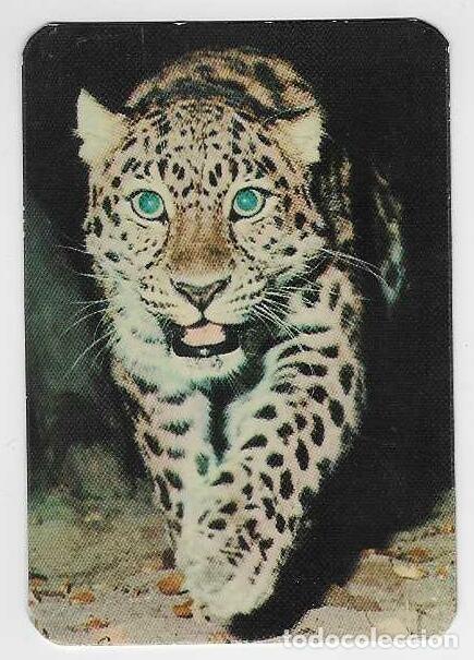 Coleccionismo calendarios: CALENDARIO DE BOLSILLO A&Ntilde;O 1974 FAUNA - ANIMALES - LEOPARDO - VER FOTO REVERSO