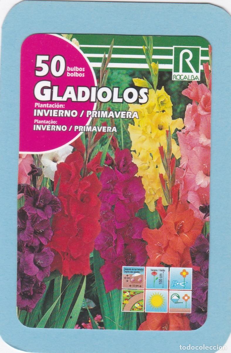 Coleccionismo calendarios: CALENDARIO 2012 - ROCALBA - GLADIOLOS