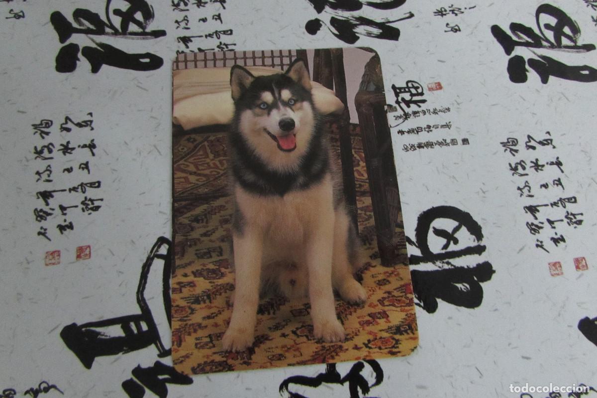 Coleccionismo calendarios: CALENDARIO HUSKY 1995 BAR CHAFLAN SALAMANCA