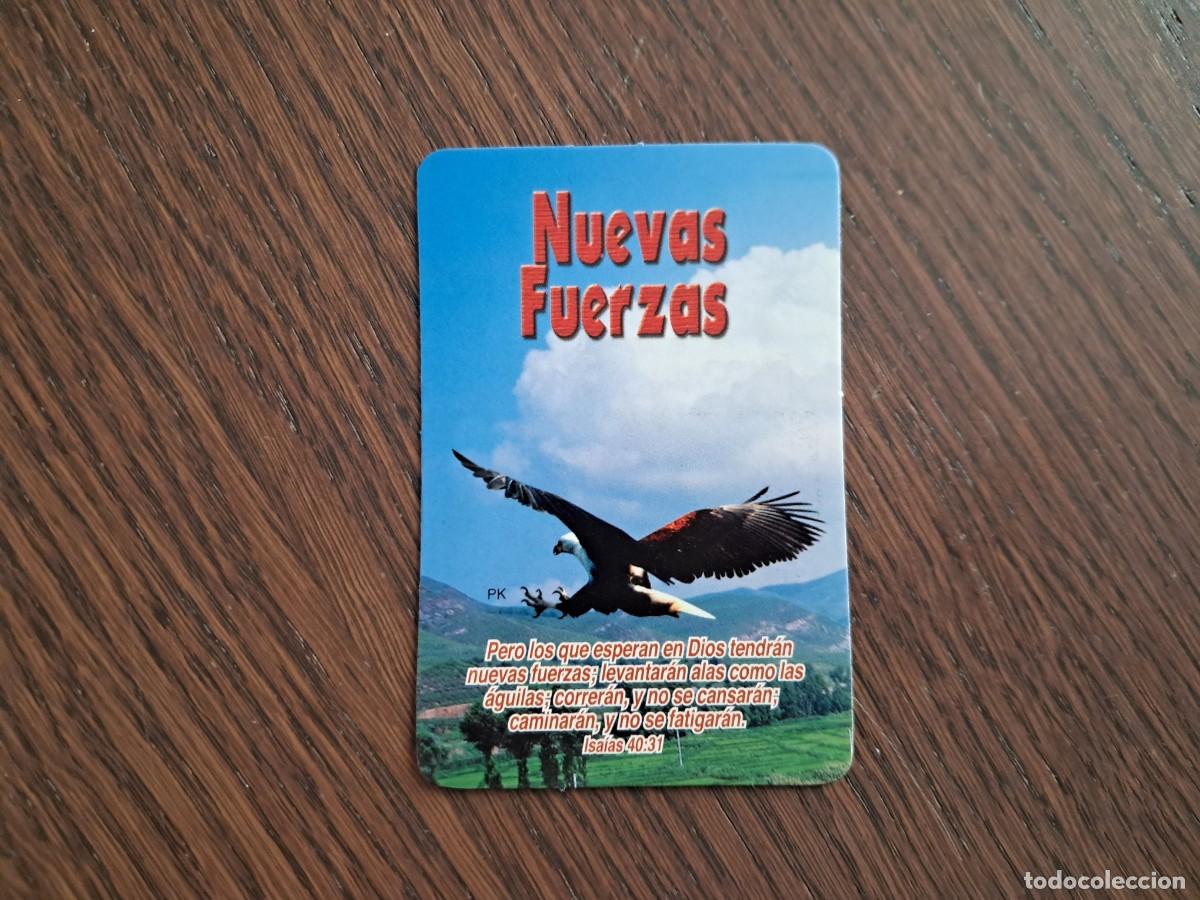 Coleccionismo calendarios: calendario de publicidad de Per&uacute;, religioso, nuevas fuerzas, imagen &aacute;guila, a&ntilde;o 2006.