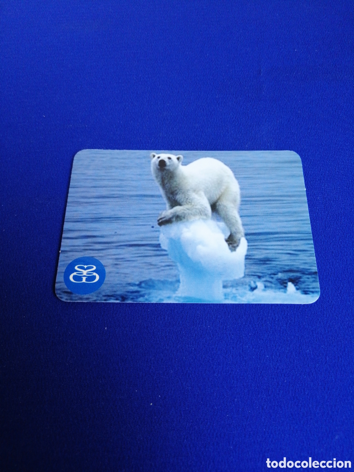 Sammeln von Kalendern: SIGNO GRAFICO ARTES GR&Aacute;FICAS OSO POLAR A&Ntilde;O 2010 CALENDARIO