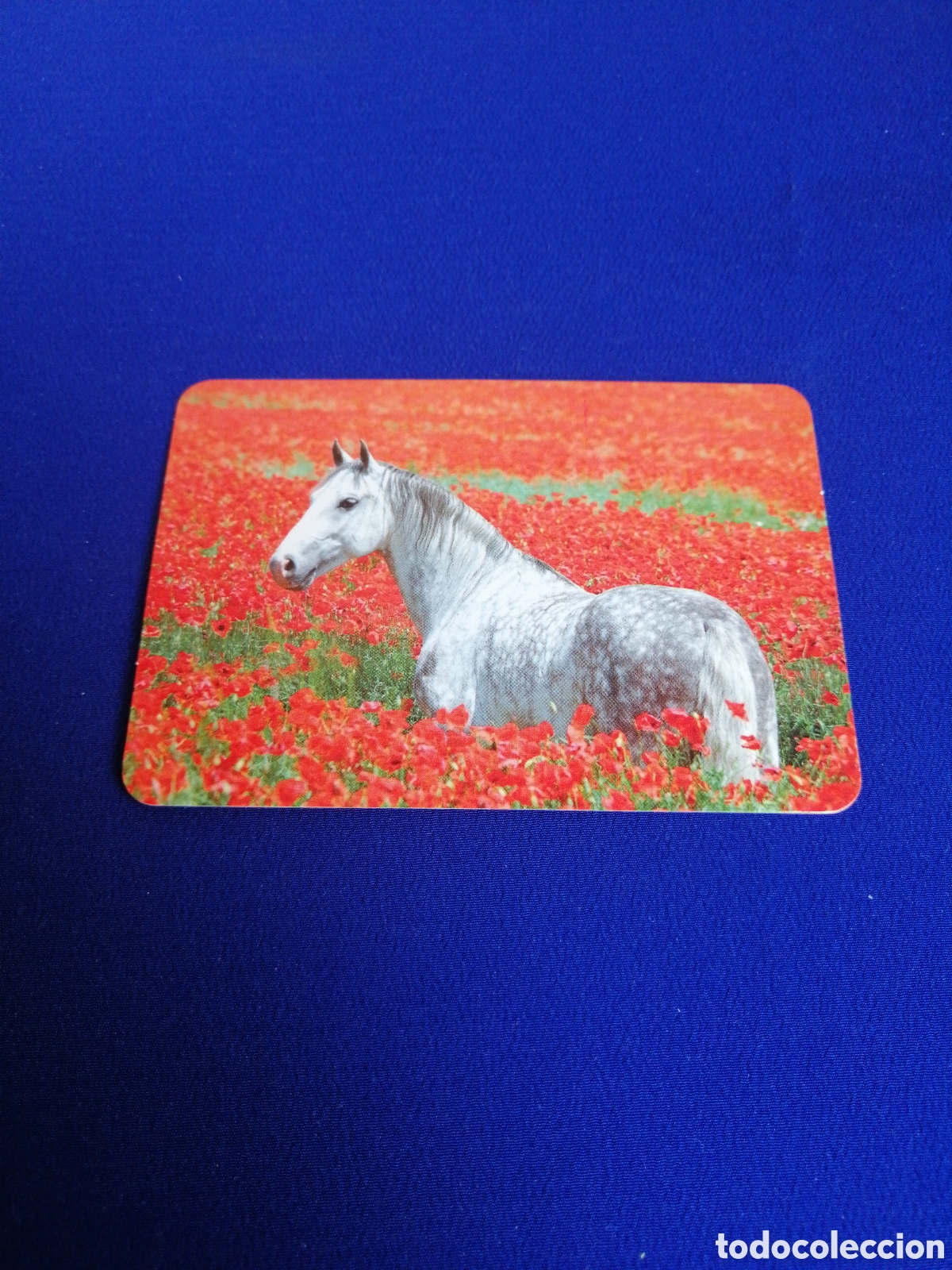 Sammeln von Kalendern: ALMACENDEPERFUMES.COM - CABALLO A&Ntilde;O 2012 CALENDARIO