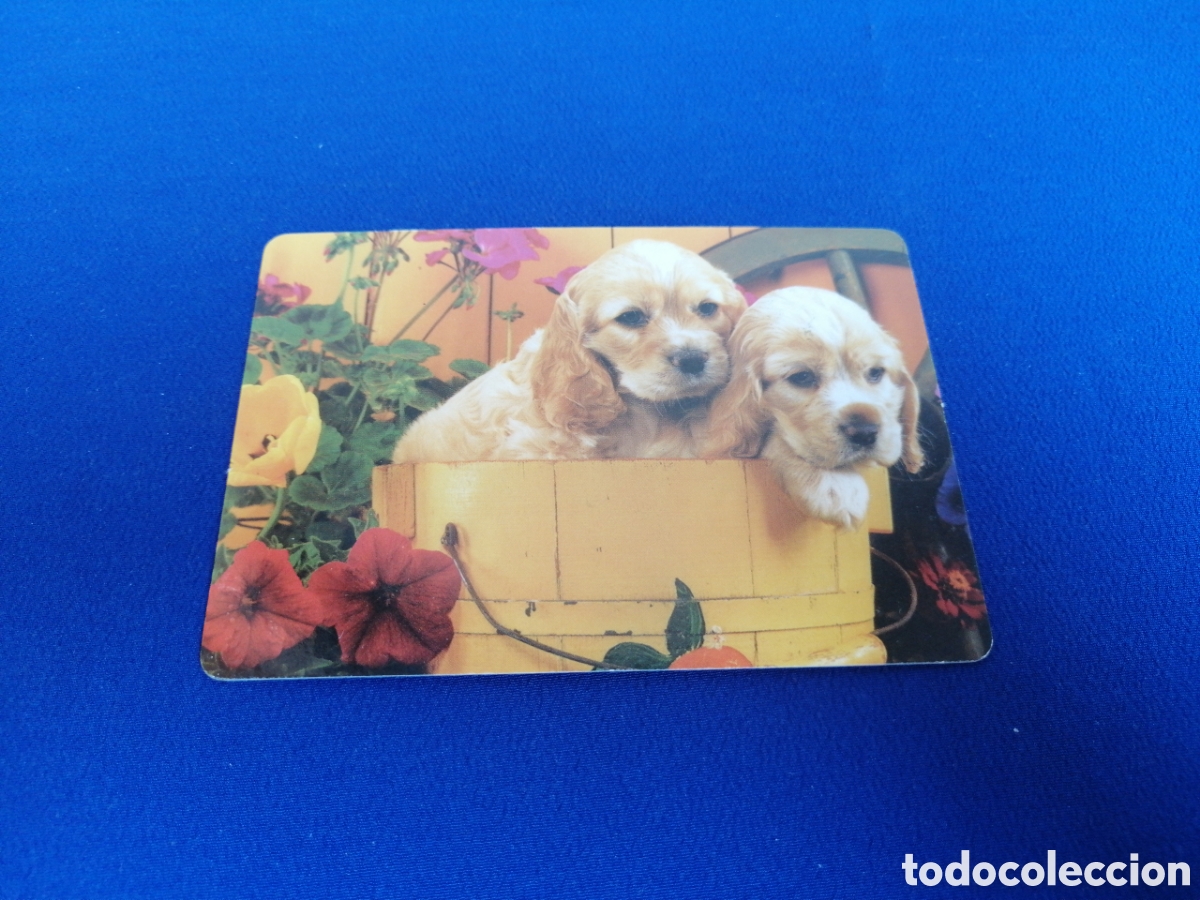 Sammeln von Kalendern: EURO TIENDA (VALENCIA) - PERRITOS A&Ntilde;O 2012 CALENDARIO