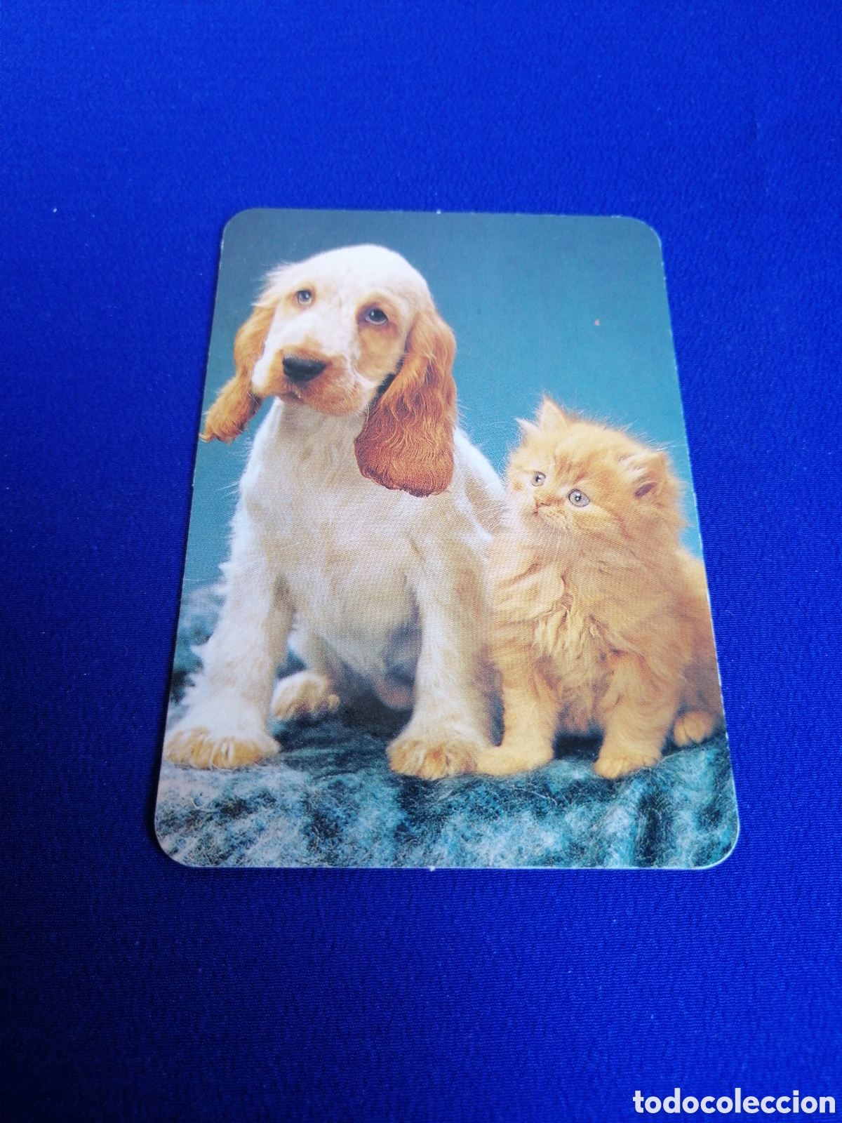 Coleccionismo calendarios: CUCHILLERIA MONTORO (VALENCIA) PERRITO Y GATITO A&Ntilde;O 2004 CALENDARIO