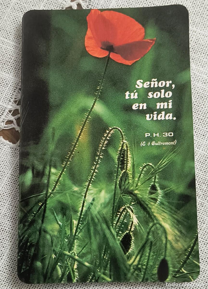 Coleccionismo calendarios: CALENDARIO BOLSILLO | FLOR ROJA - A&Ntilde;O 1988