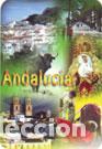 Collezionismo Calendari: Calendario de bolsillo 2008 EDIJAR 77