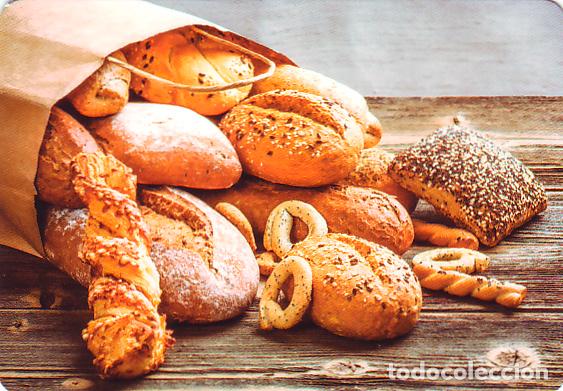 Collectionnisme Calendriers: Calendario de bolsillo 2021 L 151