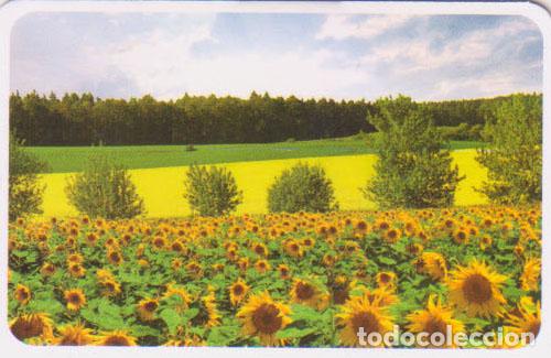 Colecionismo Calend&aacute;rios: Calendario de bolsillo 2022 CB Tarjetas Credito 1