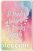 Collectables Calendars: Calendario de bolsillo 2024 TC 705
