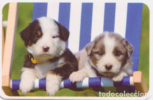 Collectables Calendars: Calendario de bolsillo 2022 TC 701