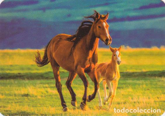Collezionismo Calendari: Calendario de bolsillo 2023 BO 506