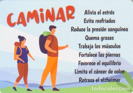 Collezionismo Calendari: Calendario de bolsillo 2023 CB 77