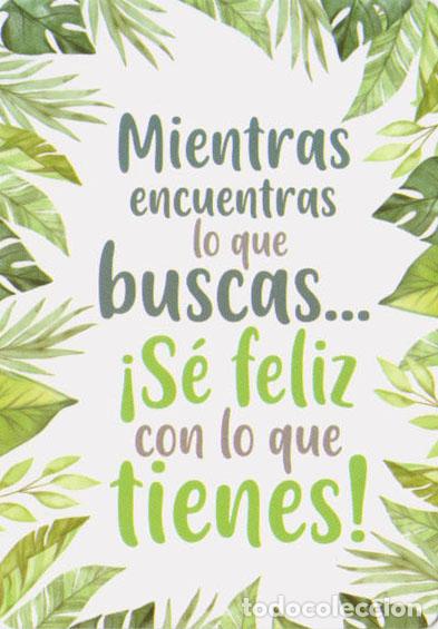 Collectables Calendars: Calendario de bolsillo 2023 CB 71