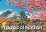 Collectables Calendars: Calendario de bolsillo 2024 BO 501
