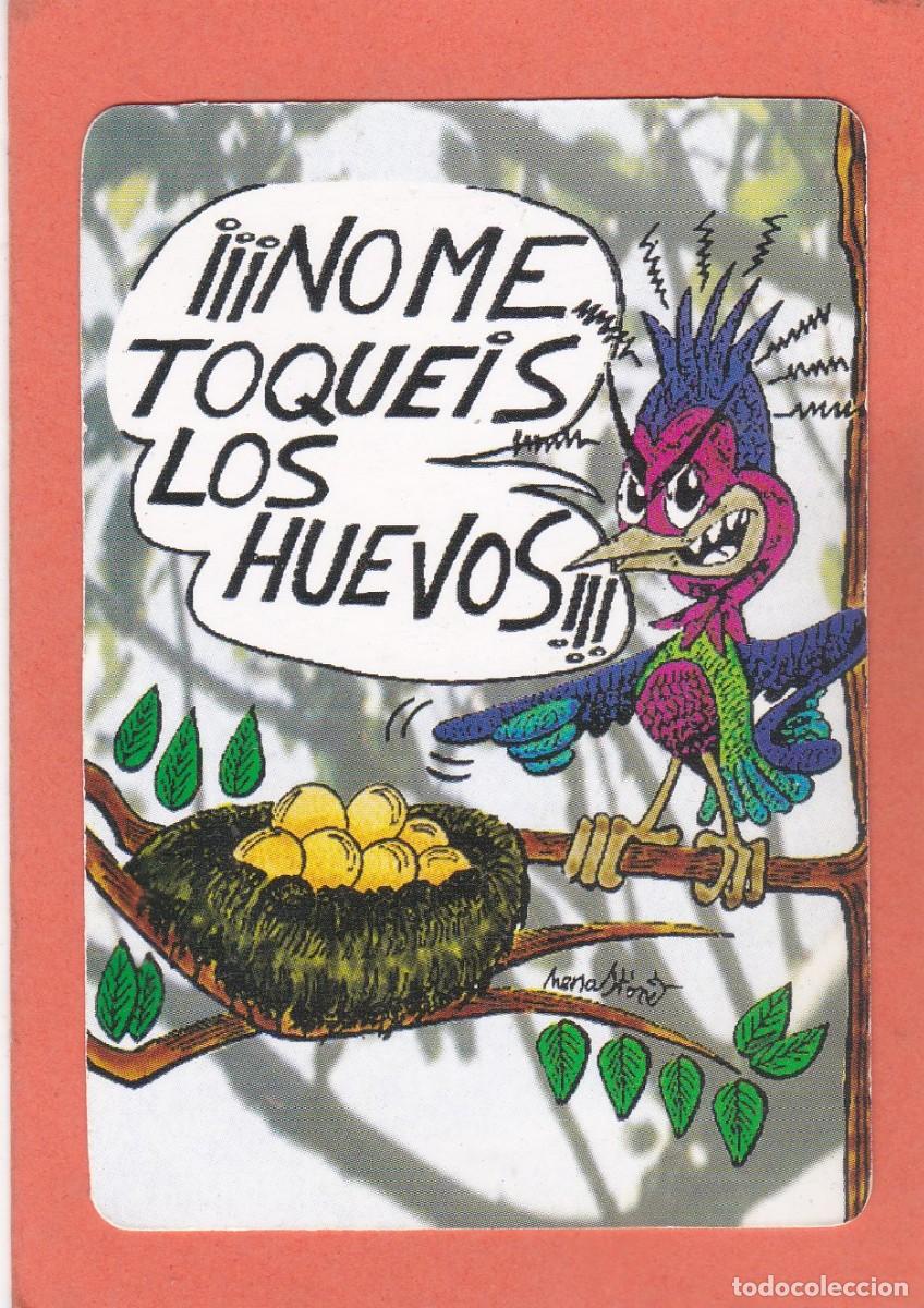 Coleccionismo calendarios: CALENDARIO 2004 - GORROTXATEGI. &iexcl;&iexcl;&iexcl; NO ME TOQUEIS LOS HUEVOS!!!