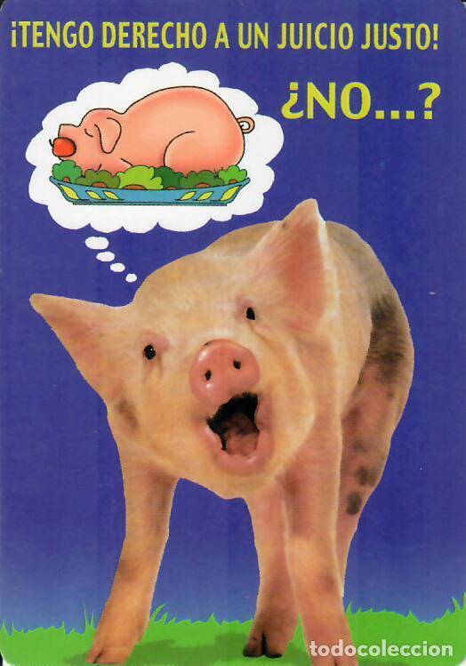 Coleccionismo calendarios: CALENDARIO DE SERIE - A&Ntilde;O 2000 - WCB N&ordm; 242