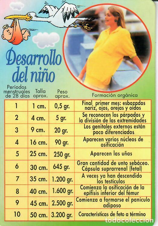 Coleccionismo calendarios: CALENDARIO DE SERIE - A&Ntilde;O 2000 - WCB N&ordm; 253