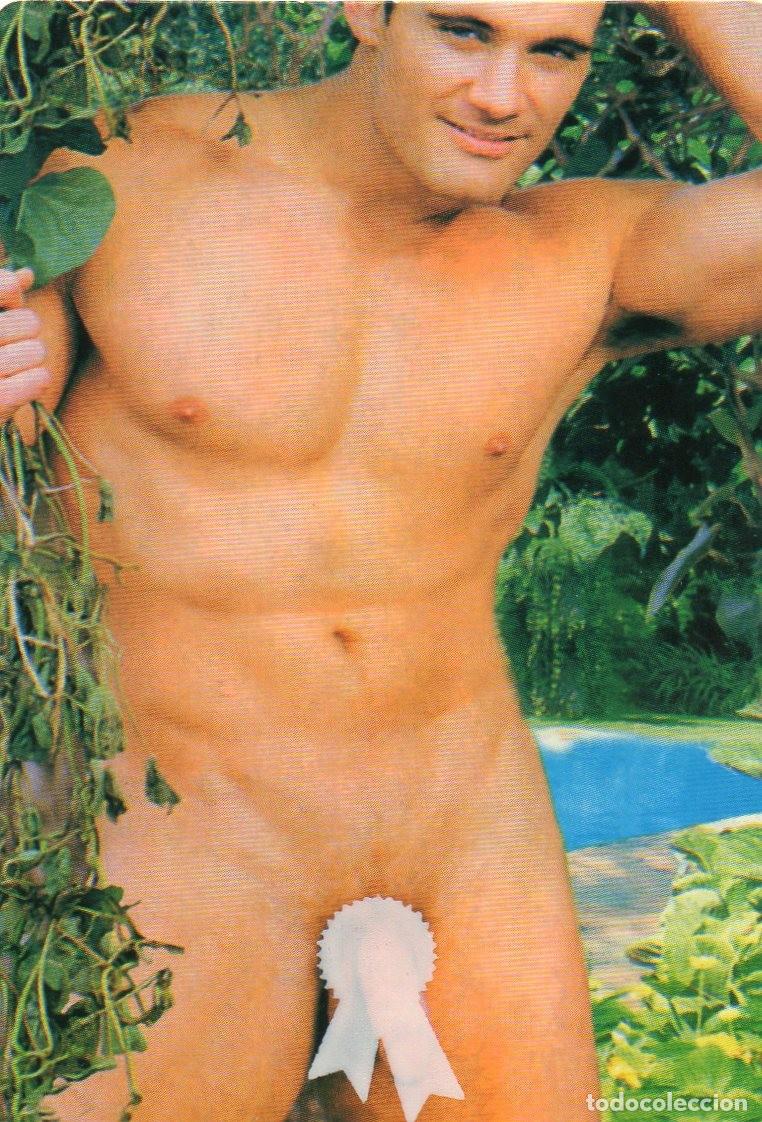 Coleccionismo calendarios: Calendario de Chicos 2005 - SERIE - CBS. N&ordm; 5