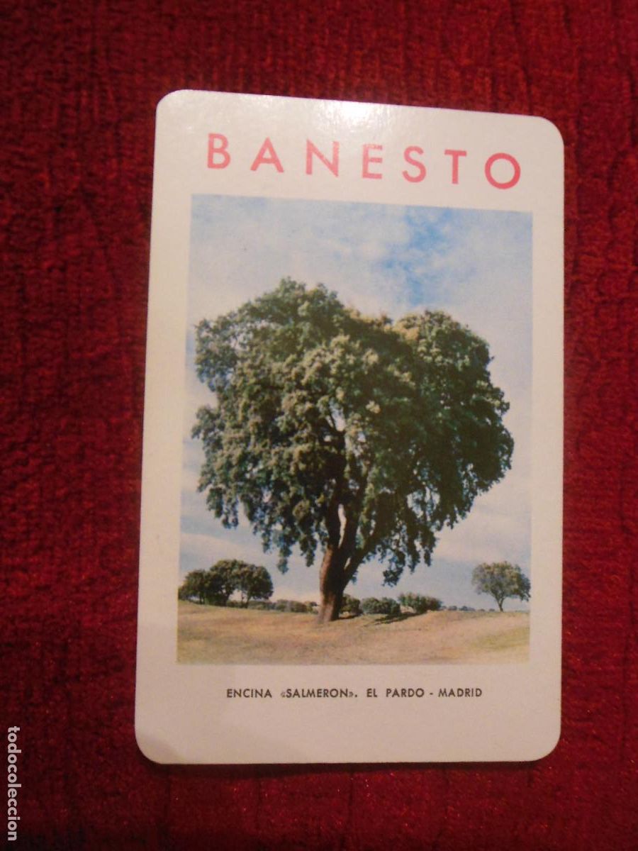 Collectables Calendars: 1966 BANCO BANESTO MADRID ENCINA SALMER&Oacute;N EL PARDO CALENDARIO DE FOURNIER