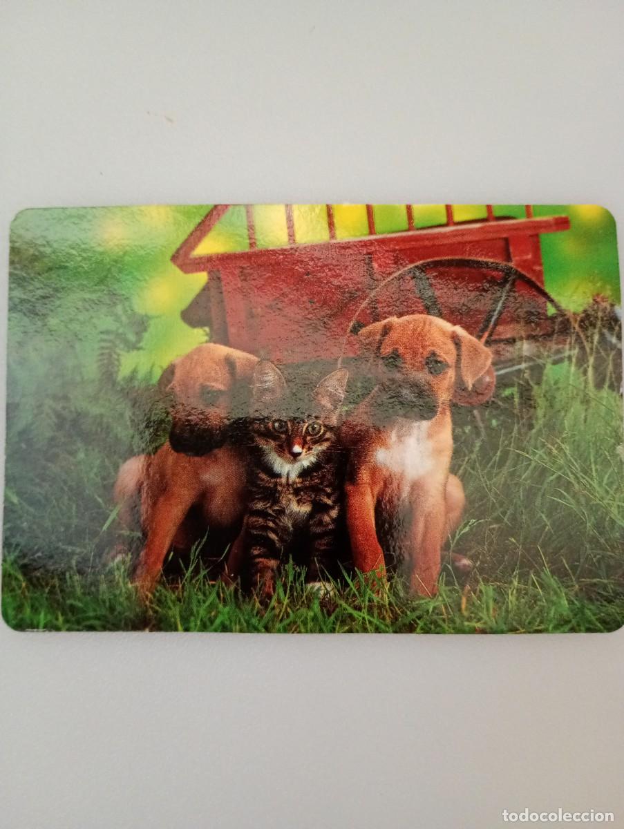 Coleccionismo calendarios: Calend&aacute;rio Portugal 1992 Animales Perros
