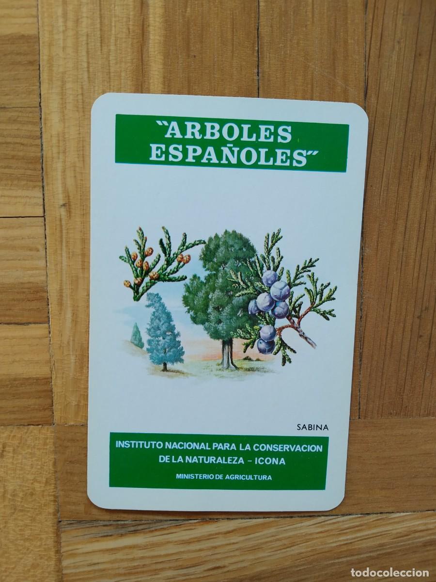 Collectionnisme Calendriers: CALENDARIO FOURNIER ICONA ARBOLES ESPA&Ntilde;OLES SABINA A&Ntilde;O 1976 VER FOTOS COMO NUEVO