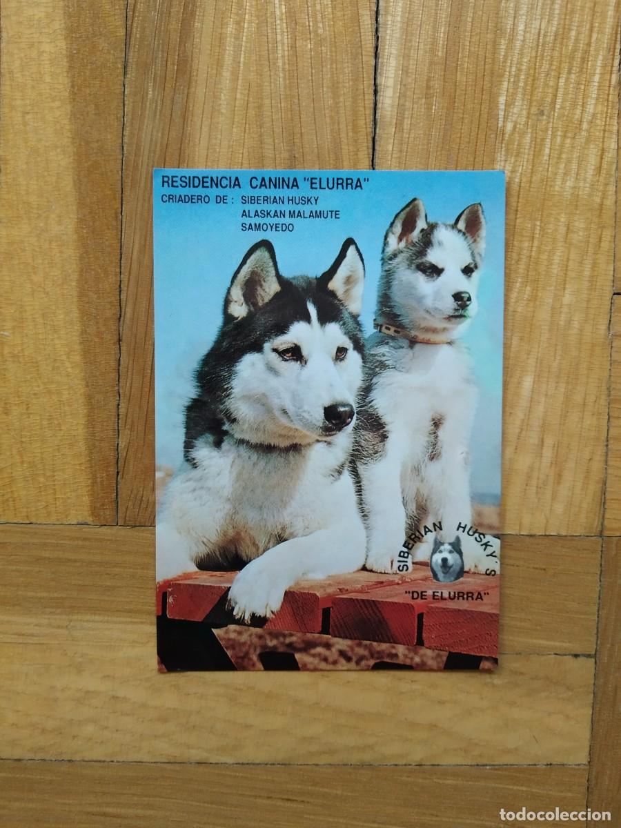 Collezionismo Calendari: CALENDARIO PUBLICITARIO PERRO HUSKY SIBERIANO RESIDENCIA CANINA ELURRA A&Ntilde;O 1992 VER FOTOS