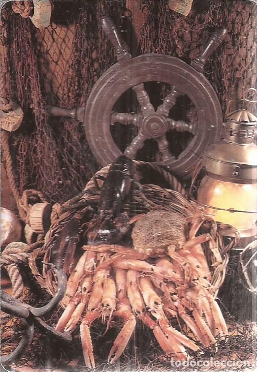 Coleccionismo calendarios: CALENDARIO SERIE A&Ntilde;O 1997 SERIE W.C.B. N&ordm; 320