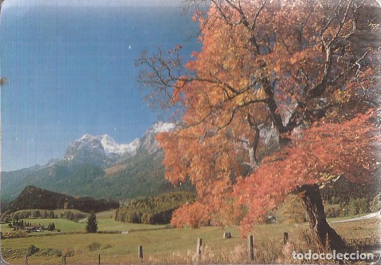 Coleccionismo calendarios: CALENDARIO SERIE A&Ntilde;O 1999 SERIE W.C.B N&ordm; 110