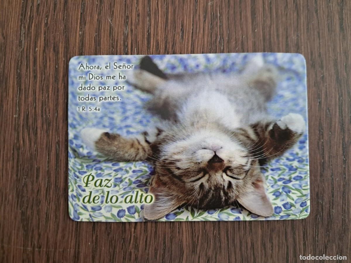 Coleccionismo calendarios: calendario de publicidad de Per&uacute;, gato, paz de lo alto, con frase, a&ntilde;o 2006