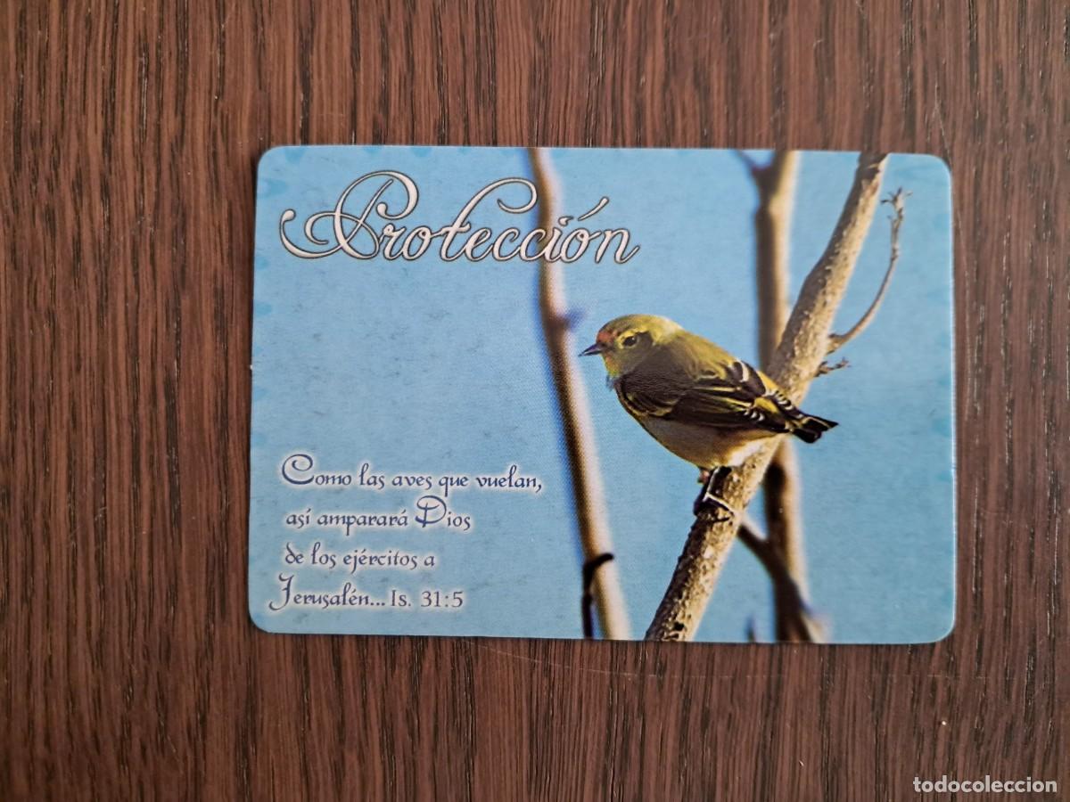 Coleccionismo calendarios: calendario de publicidad de Per&uacute;, p&aacute;jaro, protecci&oacute;n, con frase, a&ntilde;o 2006