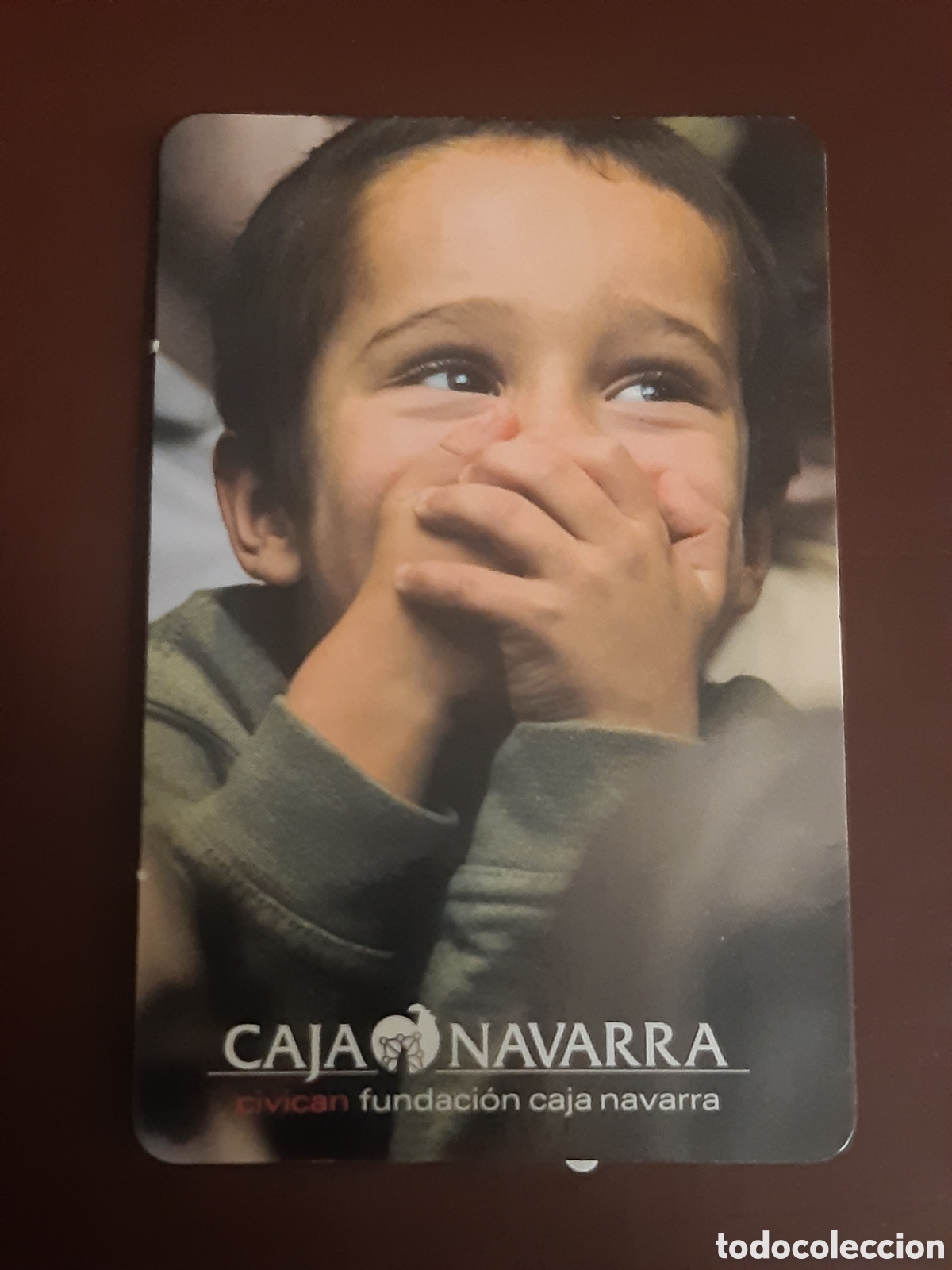 Coleccionismo calendarios: Calendario Caja Ahorros de Navarra 2004