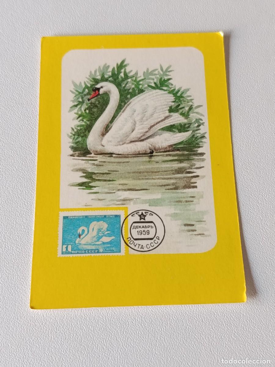 Collectables Calendars: CALENDARIO BOLSILLO O ALMANAQUE