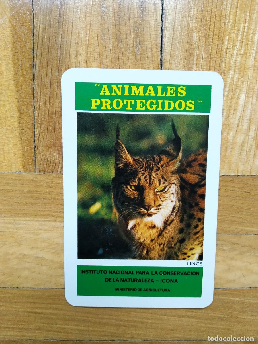 Coleccionismo calendarios: CALENDARIO FOURNIER ICONA ANIMALES PROTEGIDOS LINCE A&Ntilde;O 1974 VER FOTOS NUEVO