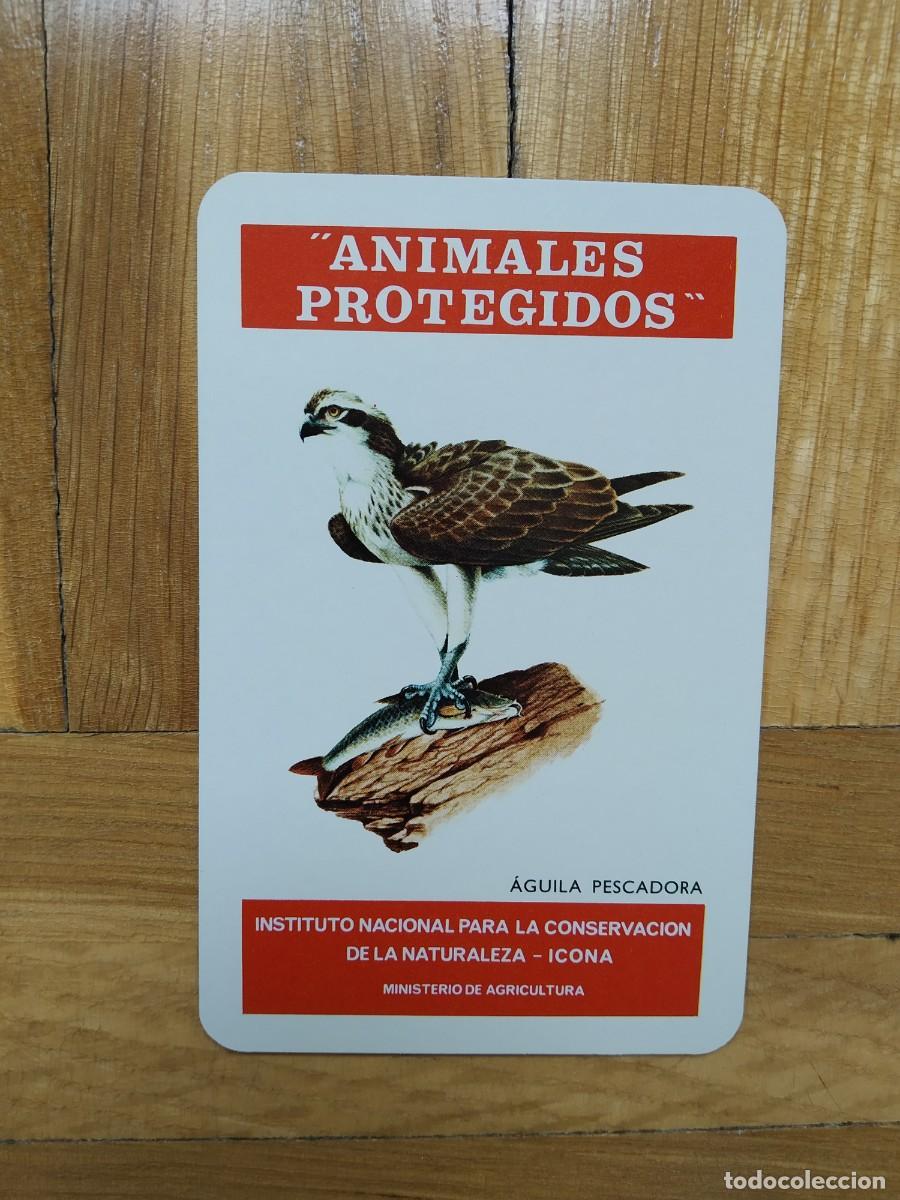 Coleccionismo calendarios: CALENDARIO FOURNIER ICONA ANIMALES PROTEGIDOS AGUILA PESCADORA A&Ntilde;O 1975 VER FOTOS NUEVO